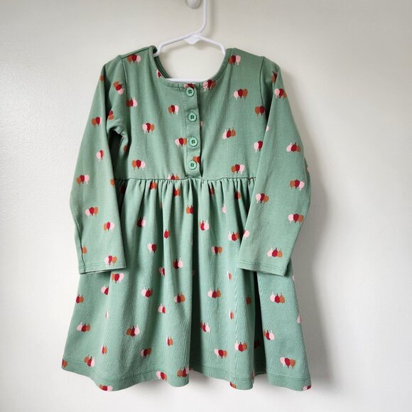 Hanna Andersson Other - Hanna Andersson Cotton Green Tulip Print Dress 5T